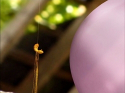 خیلی خیلی کوچک (1) (بادکنک)